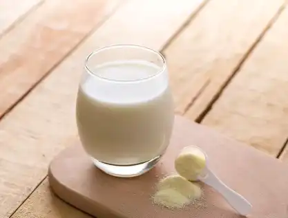 Sodium Caseinate Powder Sodium Caseinate Powder