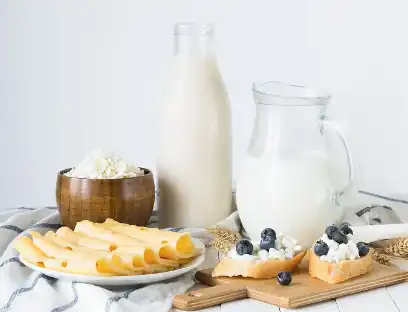 Sodium Caseinate Powder Sodium Caseinate Powder