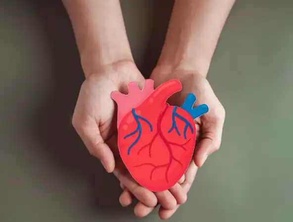 Aspartic Acid Powder Aspartic Acid Powder