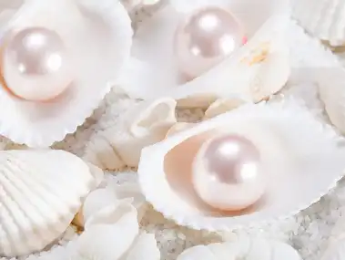 Hydrolyzed pearl powder Hydrolyzed pearl powder