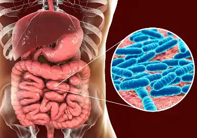 Soybean Dietary Fiber Powder Probiotics Soybean Dietary Fiber Powder Probiotics