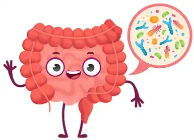 Resistant Dextrin Powder Resistant Dextrin Powder