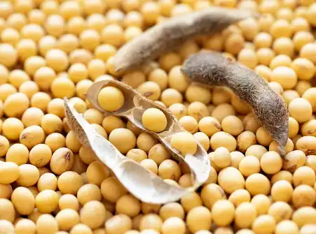 Soybean Peptide Powder Soybean Peptide Powder