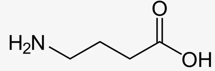 GABA powder GABA powder