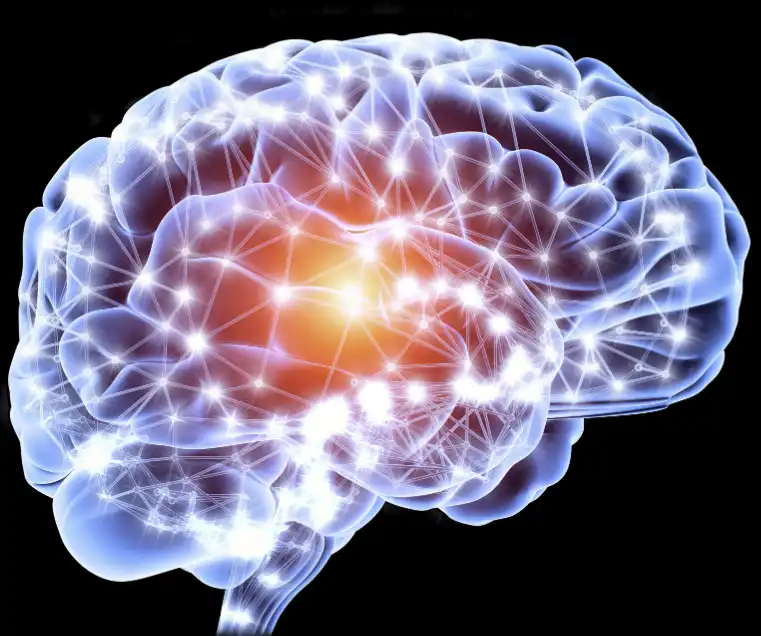 GABA powder GABA powder