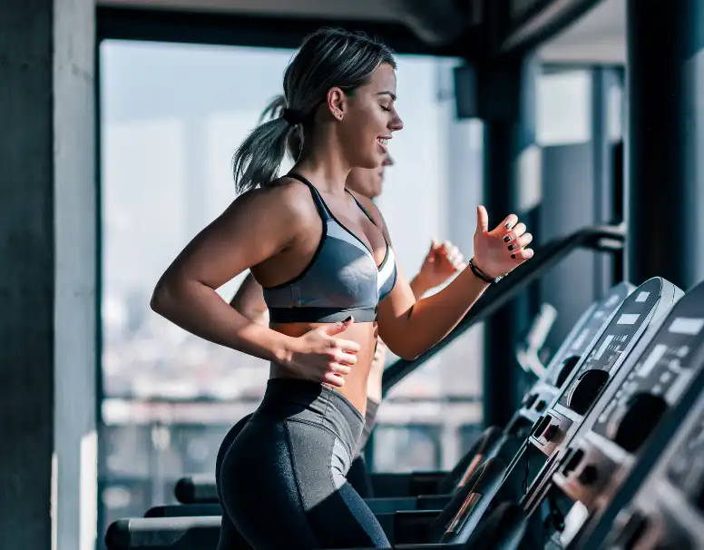 L-carnitine powder L-carnitine powder