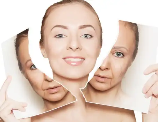 Tocotrienols powder Tocotrienols powder