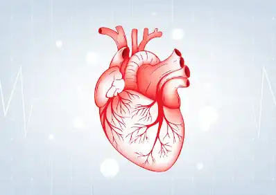 Canola Oil Powder Canola Oil Powder