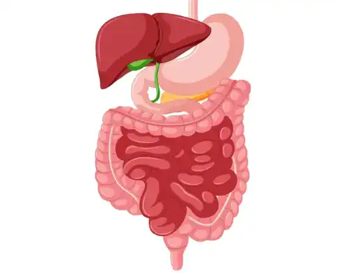Neutral Protease Neutral Protease