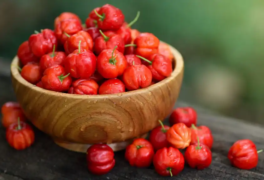 Acerola fruit powder Acerola fruit powder