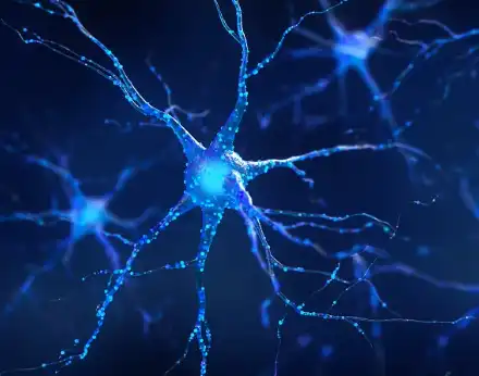 Estradiol Powder Estradiol Powder