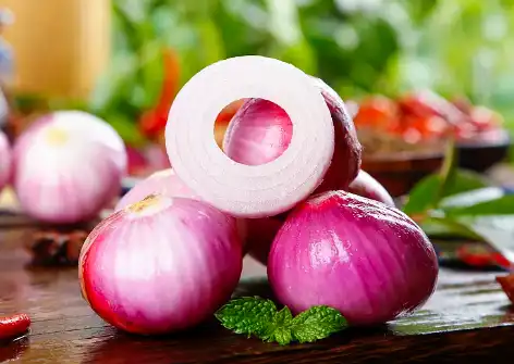 Onion Extract Powder
