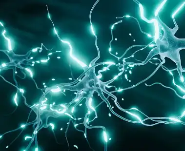 Inosine Powder Inosine Powder