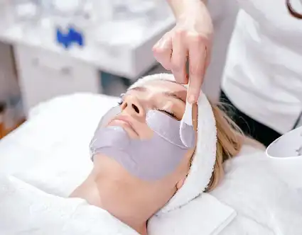 Apple Cider Vinegar Powder Apple Cider Vinegar Powder