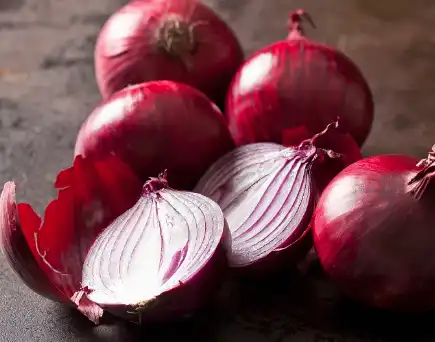 Onion Extract Powder