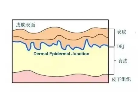 Hexapeptide-9 Hexapeptide-9