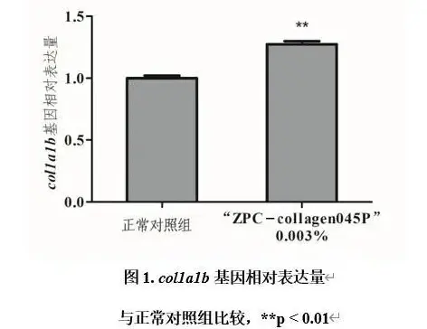 Hexapeptide-9 Hexapeptide-9