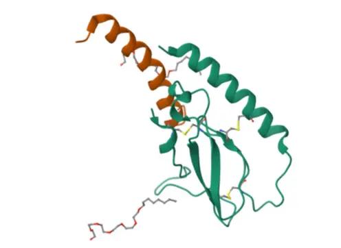 Semaglutide Powder