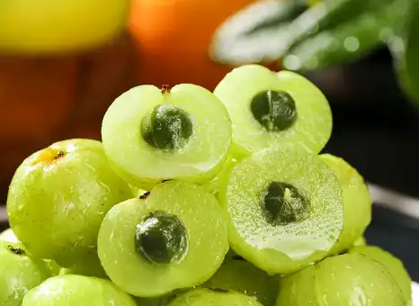 Emblica Officinalis Extract 