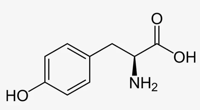 L-Tyrosine