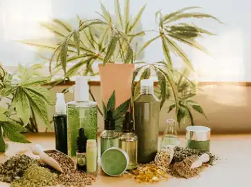 Gardenia Green Gardenia Green