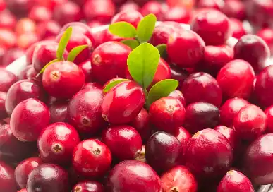 Cranberry Extract Cranberry Extract