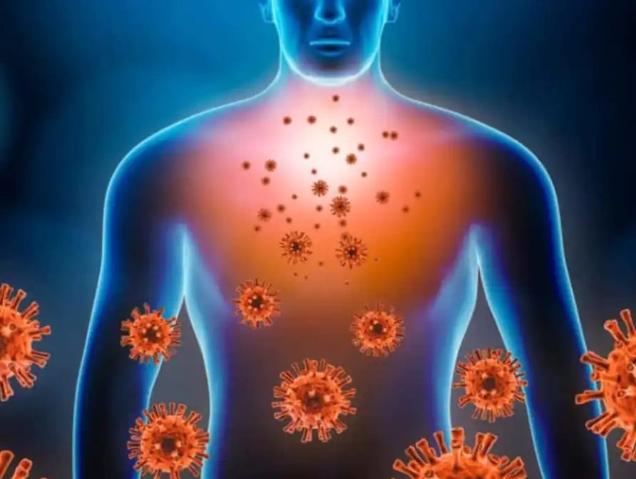 Cranberry Extract Cranberry Extract