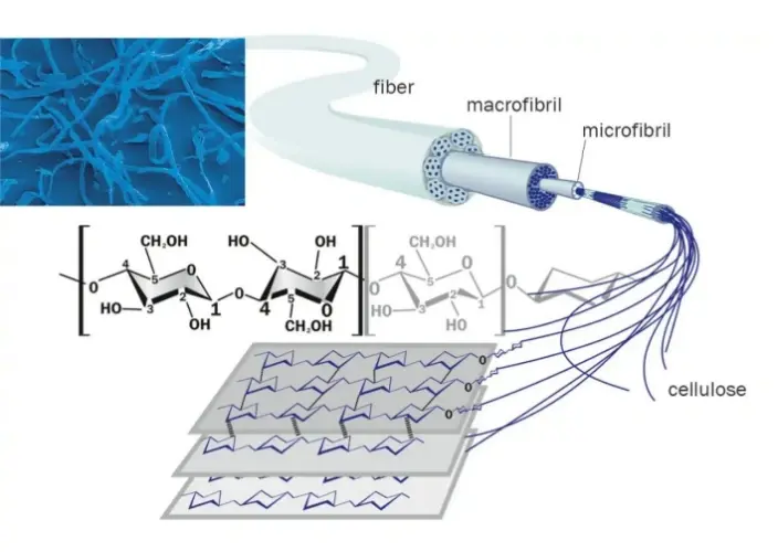 Microcrystalline Cellulose Microcrystalline Cellulose