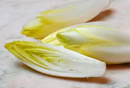 Chicory Extract Powder Chicory Extract Powder