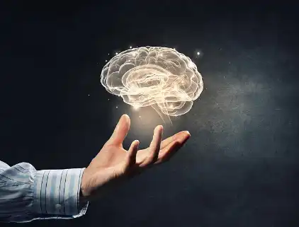 Chicory Extract Powder Chicory Extract Powder