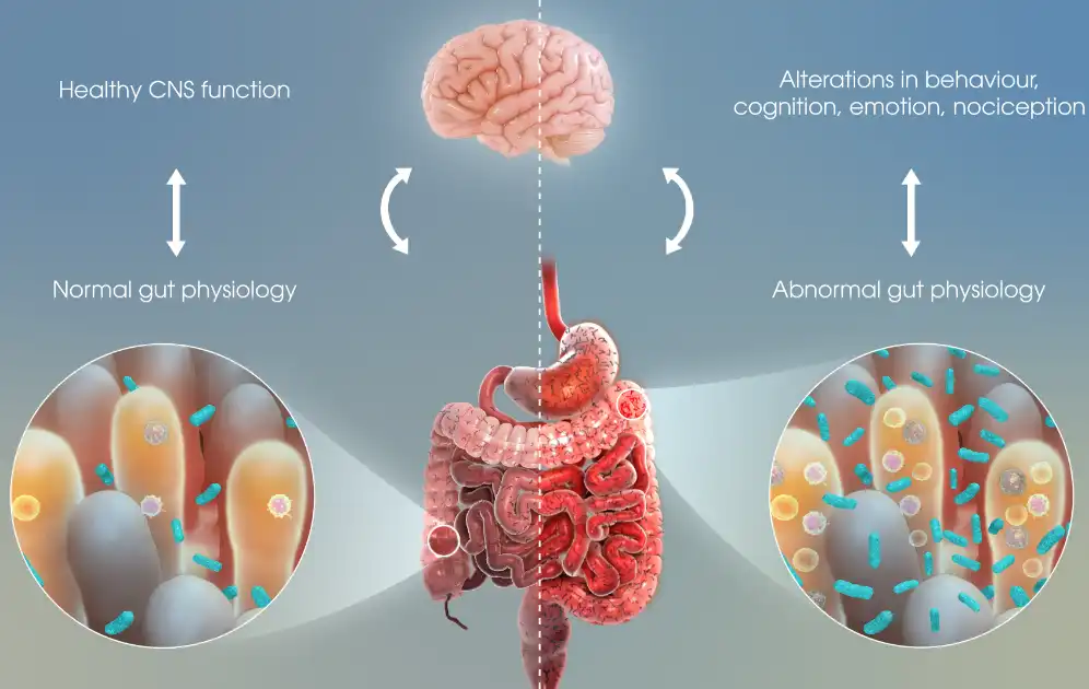 Probiotics Probiotics