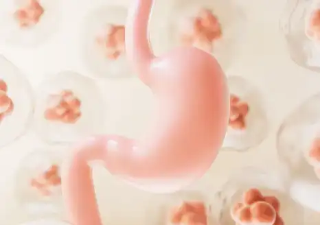 Baicalein Powder Baicalein Powder