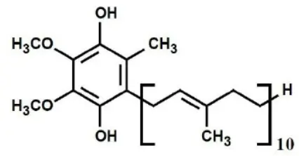 Bulk Ubiquinol Powder Bulk Ubiquinol Powder
