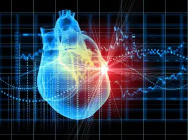 Bulk Ubiquinol Powder Bulk Ubiquinol Powder