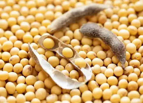 Soluble Soybean Polysaccharide