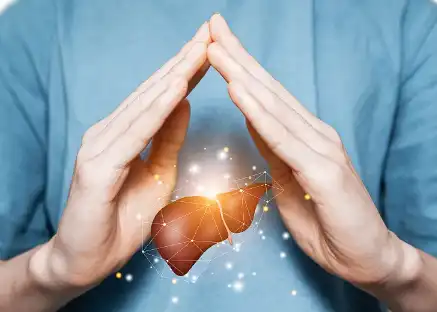 Scutellaria Baicalensis Extract Powder Scutellaria Baicalensis Extract Powder