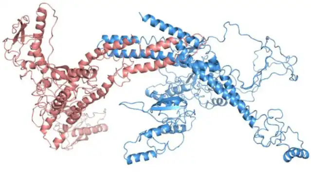 Bulk Yeast Protein Powder Bulk Yeast Protein Powder