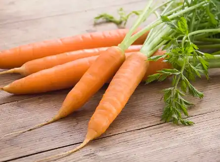 Carrot Powder