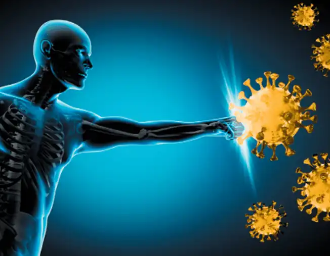 Cepharanthine Powder Cepharanthine Powder