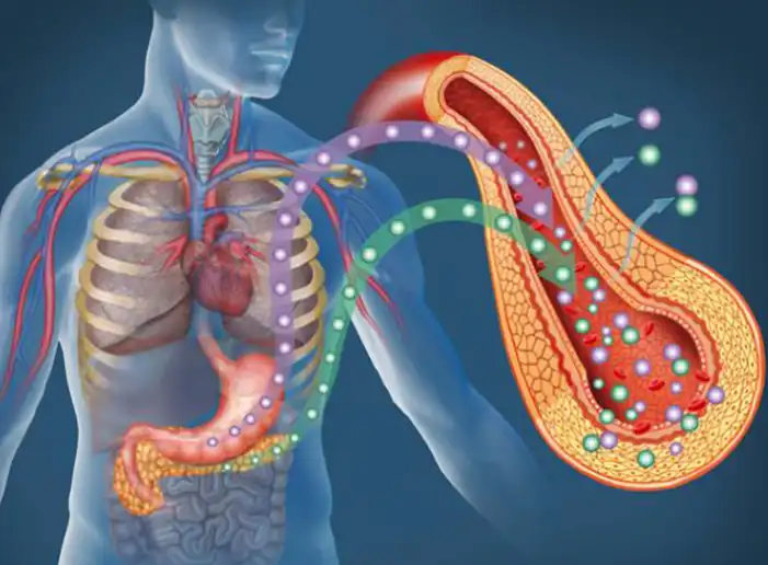 Chromium Enriched Yeast Chromium Enriched Yeast