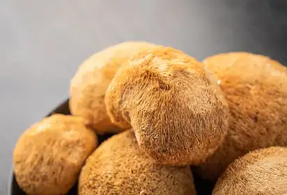 Hericium Erinaceus Powder Hericium Erinaceus Powder