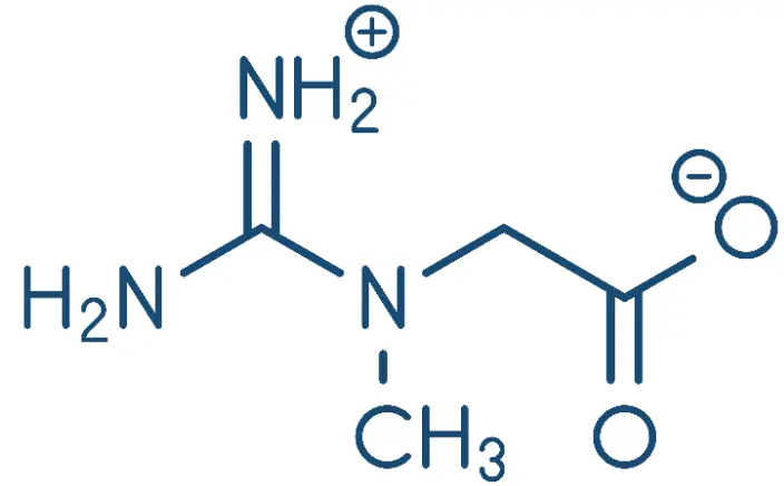 Creatine