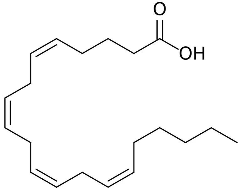 Arachidonic Acid Powder Arachidonic Acid Powder