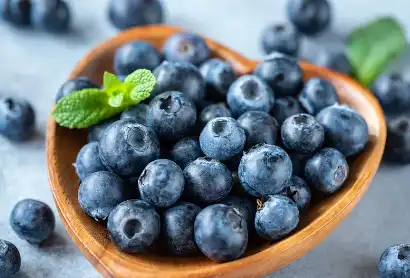 Blueberry Fruit Powder Blueberry Fruit Powder
