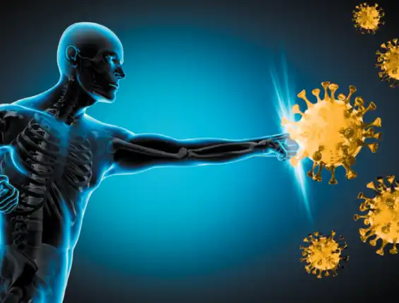 Organic Banana Powder Organic Banana Powder