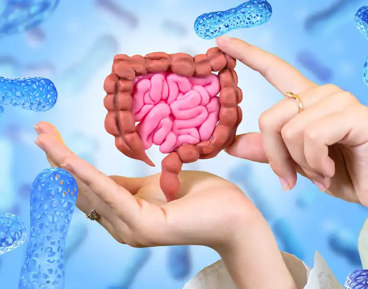 Organic Banana Powder Organic Banana Powder