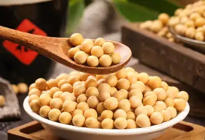 Soy Dietary Fiber Soy Dietary Fiber