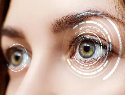 Black Currant Fruit Powder Black Currant Fruit Powder