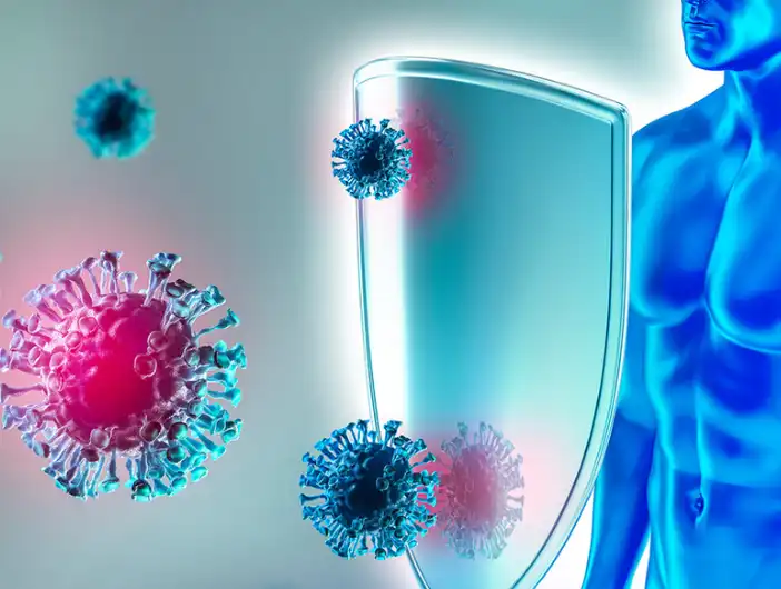 Black Currant Fruit Powder Black Currant Fruit Powder