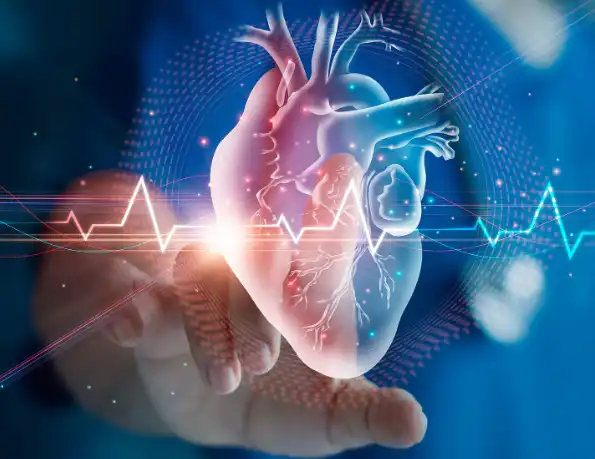 Bulk Magnesium Bisglycinate Bulk Magnesium Bisglycinate